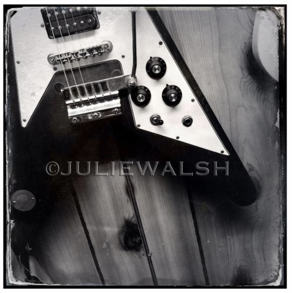 Julie Walsh photo panel ready to hang